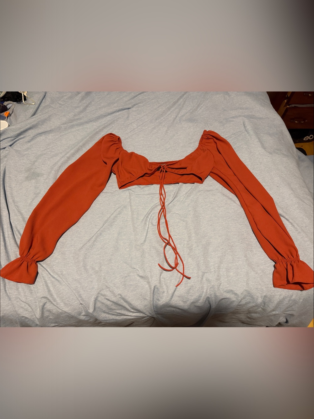 Windsor Rust Long Sleeve Crop Top with Tie Front